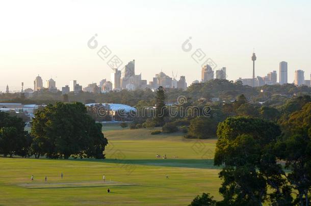 悉尼城市地平线新的南方条痕澳大利亚