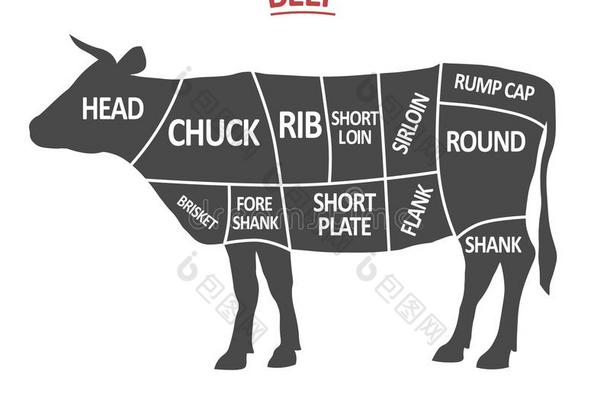 切关于牛肉.海报屠夫图表.奶牛轮廓隔离的.英语字母表的第13个字母