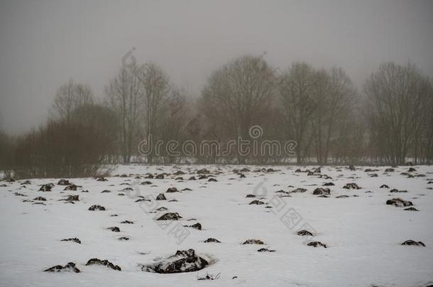 鼹鼠伪装鼹鼠hill模式采用指已提到的人田和雪和薄雾