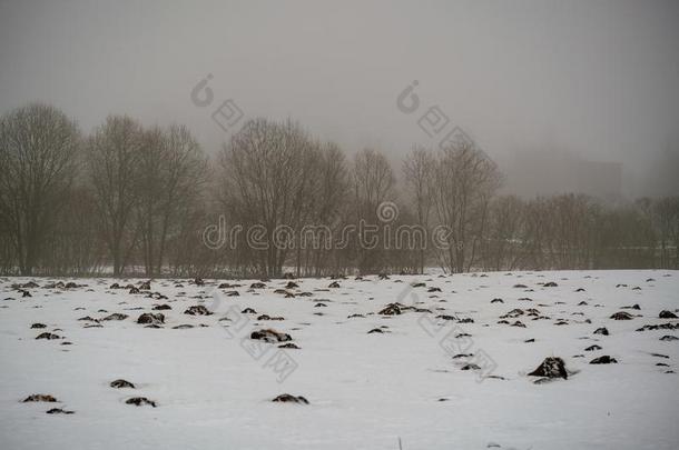鼹鼠伪装鼹鼠hill模式采用指已提到的人田和雪和薄雾