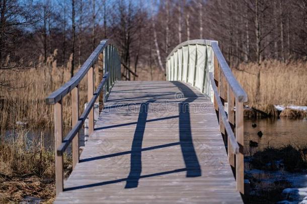 木制的用木板铺成的小道采用森林沼泽地区和木制的木板桥