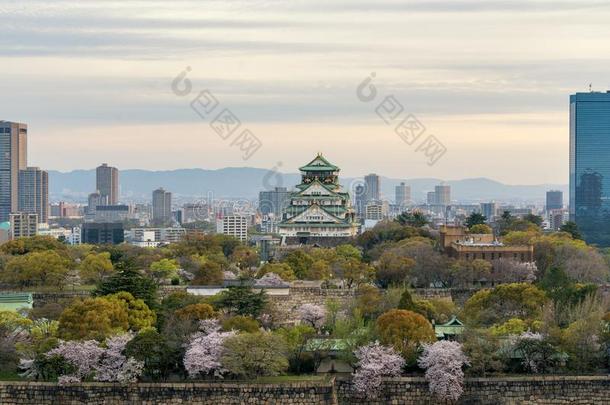 大阪城堡和樱桃花和大阪中心商业口述