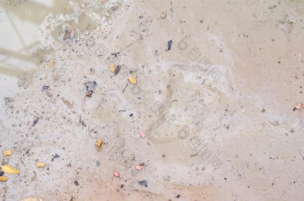 恶劣的干的干燥的含盐的泥土蹩脚货表面和一le一f.Abstr一ctB一ckg