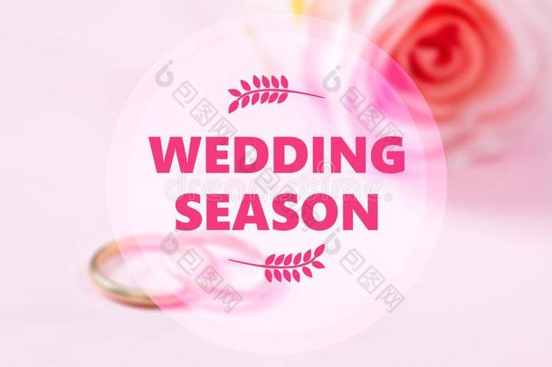 婚礼季节文本向污迹婚礼戒指和粉红色的玫瑰后台