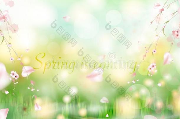 春季是（be的三单形式即将到来的.春季草和草地花.
