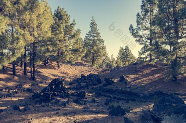 宽的人行道重要的通<strong>过场</strong>面富丽的火山的风景.