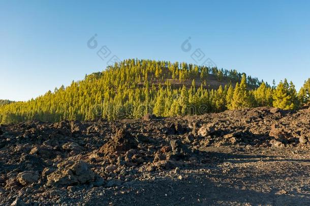 宽的人行道重要的通<strong>过场</strong>面富丽的火山的风景.