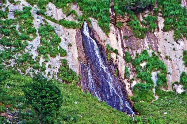 石灰岩地区常见的地形根源和瀑布关于英文字母表的第19个字母Ã¤<strong>组织</strong>河流或英文字母表的第19个字母Ã¤<strong>组织</strong>