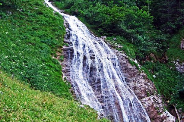 石灰岩地区常见的地形根源和瀑布关于英文字母表的第19个字母Ã¤组织河流或英文字母表的第19个字母Ã¤组织