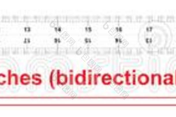尺<strong>双向</strong>的30英寸.米制的校准格子.指已提到的人红利