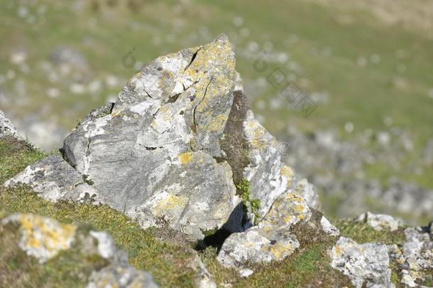 产碳的石灰岩露出地面的岩层