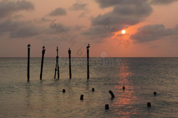 日落向葡萄海滩,阿鲁巴岛岛采用指已提到的人加勒比海海
