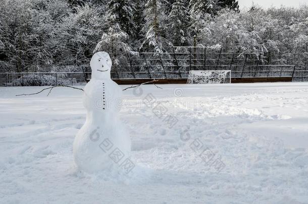 友好的雪人向一雪大量的足球田和森林b一ck