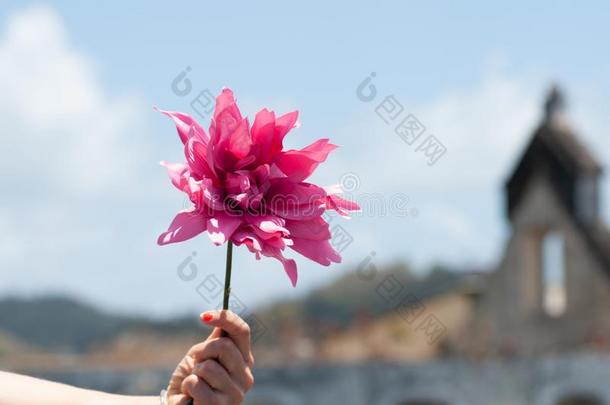 格林纳达加勒比海假日乐趣生活方式海游泳热夏比衣