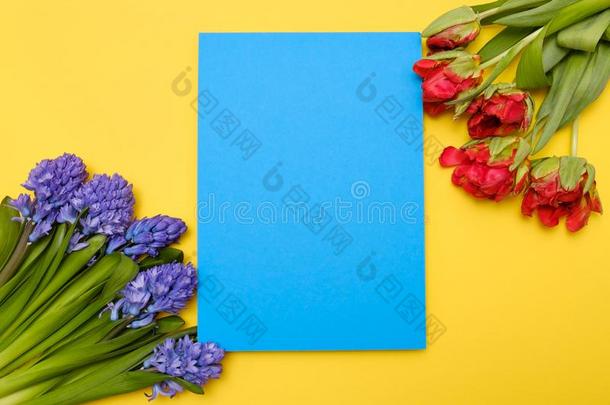 红色的郁金香和蓝色风信子<strong>花</strong>同样地现在的卡片向一科洛尔