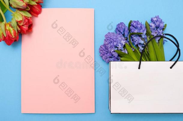 红色的郁金香和蓝色风信子花同样地现在的卡片向一科洛尔