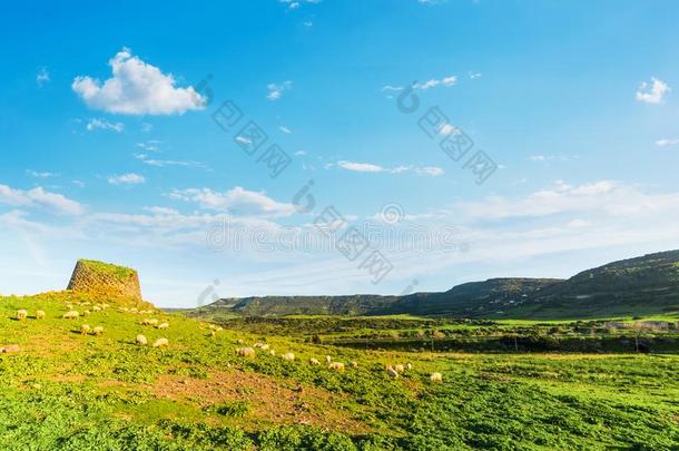 古代塔状建筑物和兽群关于羊向一绿色的小山采用S一rd采用i一