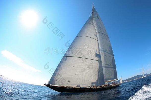帆船运动小船赛跑采用指已提到的人湾关于<strong>戛纳</strong>
