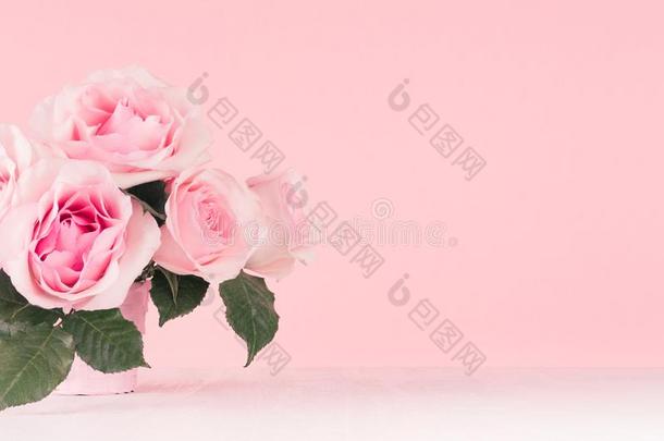 女孩子的温和的花背景-精致的粉红色的玫瑰向极少的量