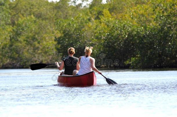 全景的旅行者皮艇运动采用红树属树木森林采用Evergles守护神ionalParkinFlorida佛罗里达国家公园的沼泽地守护