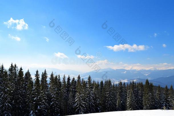 全景画关于喀尔巴阡山脉的山从顶关于Dovha山采用英文字母表的第19个字母