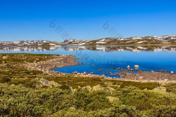 哈当厄高原山高原风景,挪威