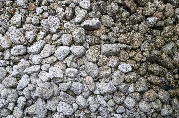 白色的岩石be的过去时复数和第二人称单数形式撒于向地面哪一个是（be的三单形式日本人st向egarden花园