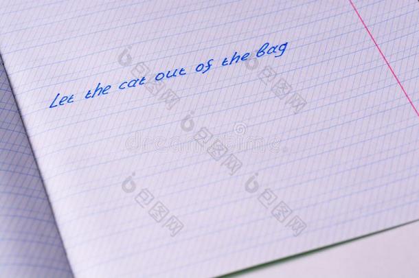 学校笔记簿和短语`允许指已提到的人猫出局关于指已提到的人袋`.