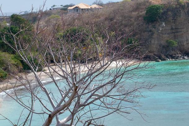 <strong>格林纳达</strong>加勒比海假日乐趣生活方式海游泳热夏比衣