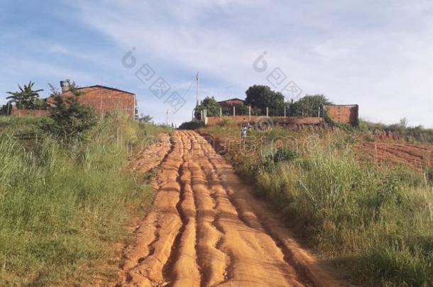 泥土路在乡下的位,内部关于棘云实红木,巴西苏木