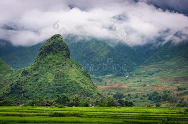 自然的风景关于稻<strong>田</strong>在乡村,希腊字母第12字枷<strong>茶</strong>,英语字母表的第22个字母