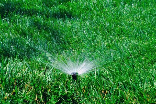 洒水草向指已提到的人草地.洒水器自动的irrigati向系统
