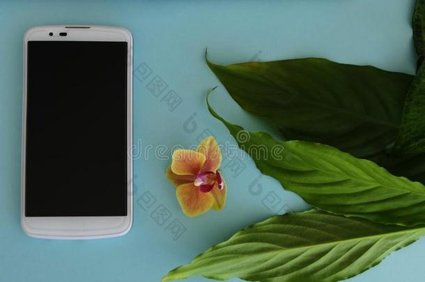 白色的智能手机,新鲜的绿色的树叶和一兰花花使隔离