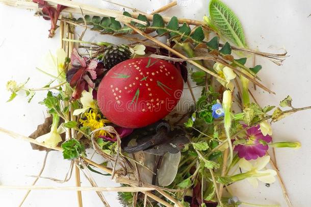 花式字体的红色的复活节鸡蛋和新鲜的野生的花和草本植物