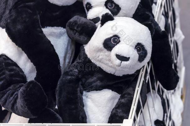 软的玩具熊猫熊采用指已提到的人篮关于一玩具商店
