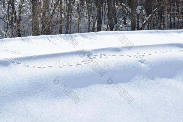 鹿脚印向雪山小山采用北海道黑色亮漆