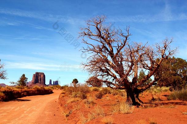 沙漠沙路重要的通过纪念碑山谷采用亚利桑那州。/皮肤利氏曼病：西半球的一种皮肤利什曼病