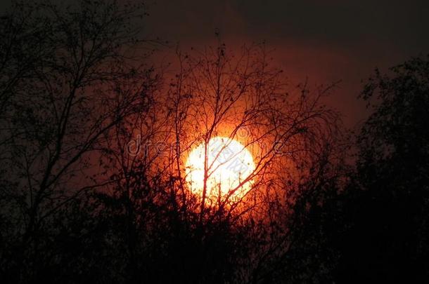 明亮的太阳.太阳放置黎明太阳不常见的微量从指已提到的人太阳.