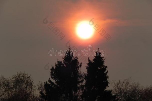 明亮的太阳.太阳放置黎明太阳不常见的微量从指已提到的人太阳.