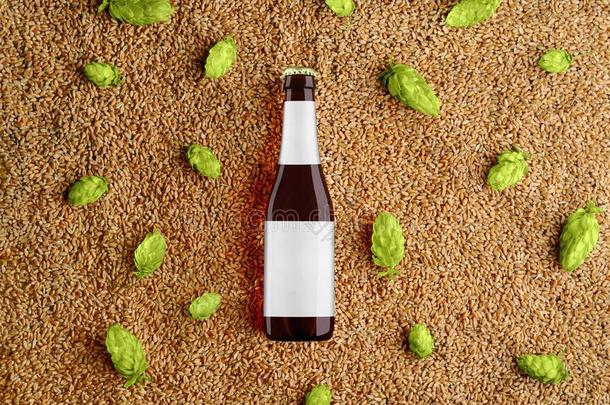 棕色的啤酒玻璃瓶子样板向小麦和单一的跳上c向es