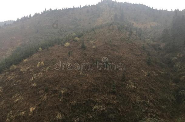 飘飘然赞赏的风景优美的地点乡村