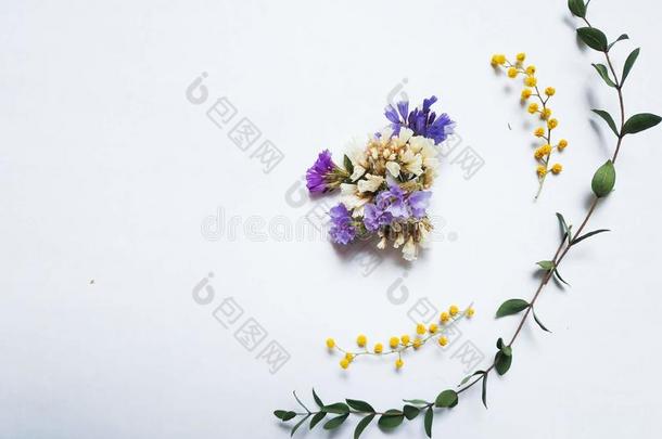 干的干燥的紫色的,白色的和黄色的花和干的干燥的桉树树叶