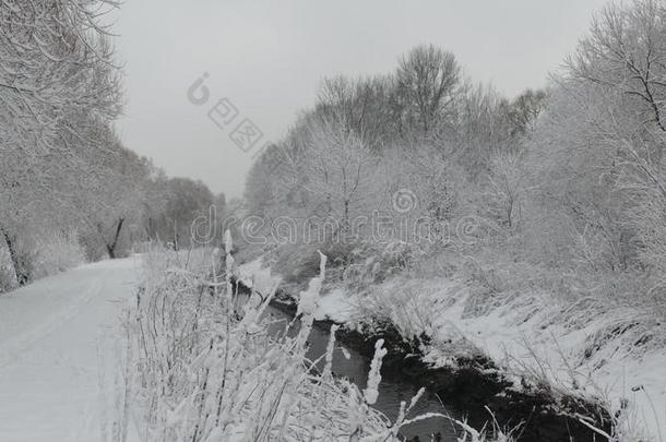 白色的和黑的冬向指已提到的人河.