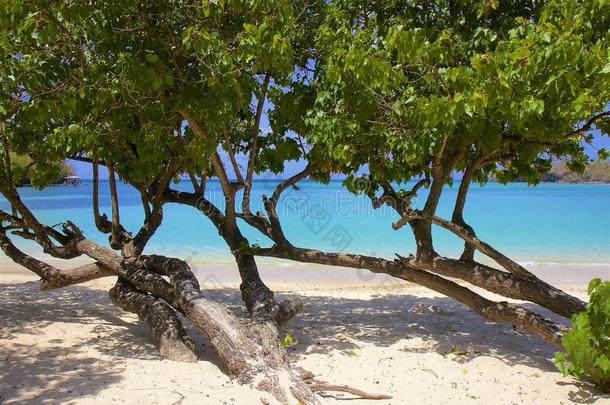 人名胭脂海滩采用格林纳达,加勒比海