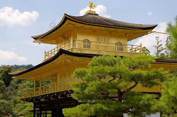 关在上面关于指已提到的人金色的人名<strong>金卡</strong>库-jittery神经过敏的庙关于京都,涂漆