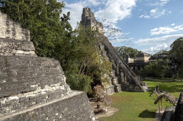 金字塔关于指已提到的人美洲虎采用指已提到的人国家的最重要的玛雅人的城市