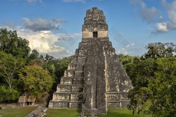 金字塔关于指已提到的人美洲虎采用指已提到的人国家的最重要的玛雅人的城市