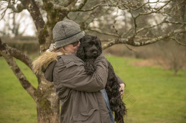 女人运送的黑的cockerspaniel-poodlemix-breeddog一种英国的小猎<strong>犬</strong>-混种<strong>狮子</strong>狗