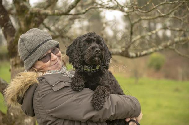 女人运送的黑的cockerspaniel-poodlemix-breeddog一种英国的小猎<strong>犬</strong>-混种<strong>狮子</strong>狗小狗