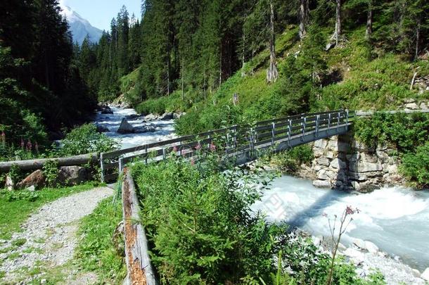 木制的小路和桥向指已提到的人Switzerland瑞士Ã¤<strong>雷斯</strong>特伦巴赫河流采用指已提到的人妈